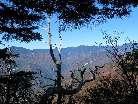 風不入 不動岳~黒沢山~中ノ尾根~鶏冠山~池口岳 中央右に合地山で手前に諸沢山かな.jpg
