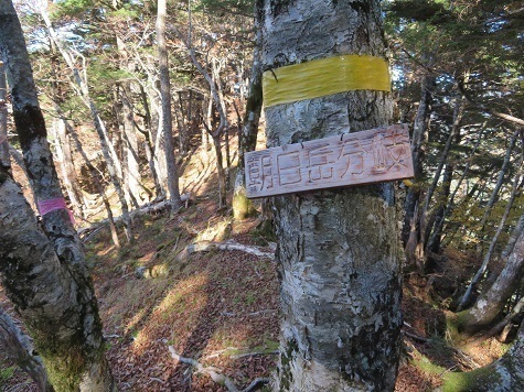 風不入 お立ち台下降点 朝日岳分岐の標識がある.jpg