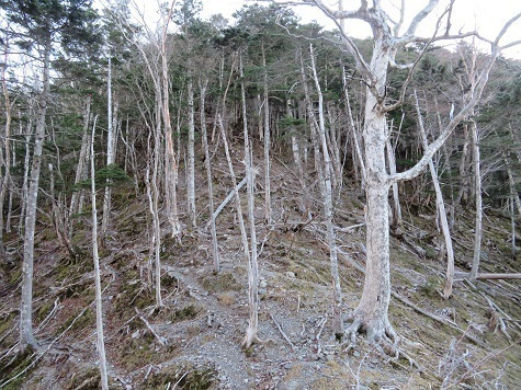 風不入 大無間山への取り付き.jpg
