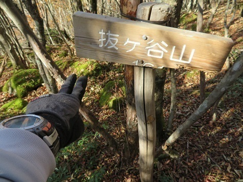 風不入 抜ヶ谷山 レコ.jpg