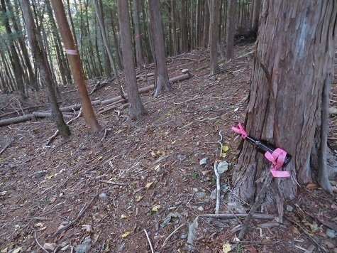 風不入 ビール瓶がある所が栗代林道下降点.jpg