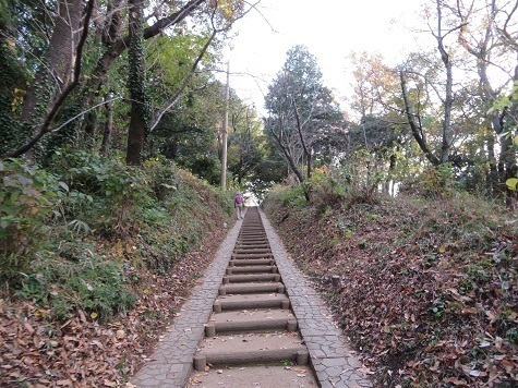 弘法山~浅間山 では弘法山へ向かう.jpg
