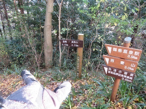 弘法山~浅間山 高取山へ向かう.jpg