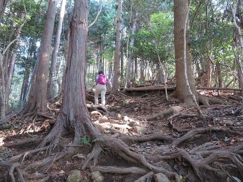 弘法山~浅間山 急登を登る.jpg