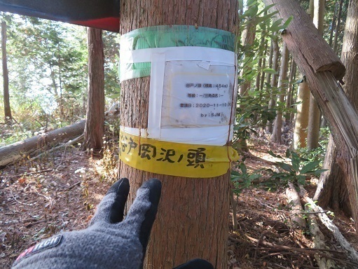 弘法山~浅間山 ルートを外れ谷戸岡沢ノ頭レコ.jpg