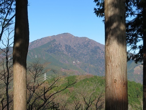 弘法山~浅間山 大山を望む.jpg