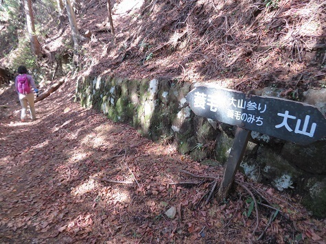 弘法山~浅間山 蓑毛みち.jpg