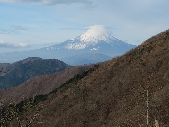 丹沢山_小丸尾根 大倉尾根からの富士山.jpg