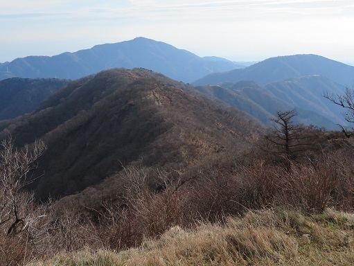 丹沢山_小丸尾根 山頂より大山を望む.jpg
