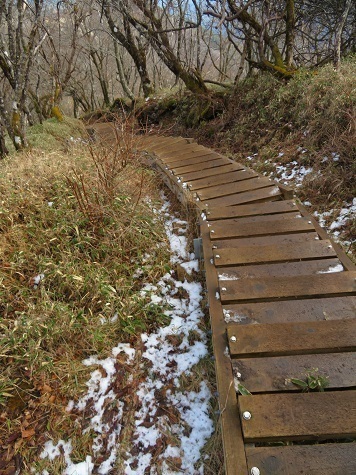 丹沢山_小丸尾根 丹沢山への木道はツルツル.jpg