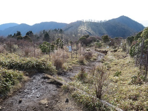 丹沢山_小丸尾根 一旦塔ノ岳へ戻る.jpg