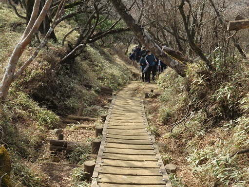 丹沢山_小丸尾根 30人ほどの学生の団体さんが登ってくる.jpg