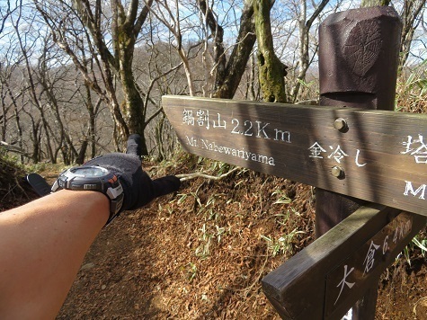 丹沢山_小丸尾根 ここから鍋割方面へ.jpg