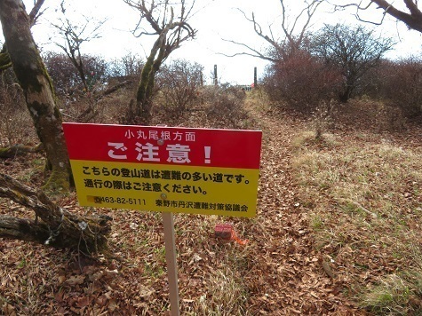 丹沢山_小丸尾根 静かな小丸尾根で降る.jpg