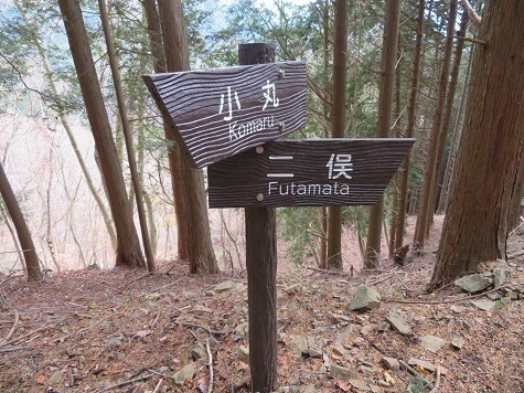 丹沢山_小丸尾根 中盤からは標識が沢山.jpg
