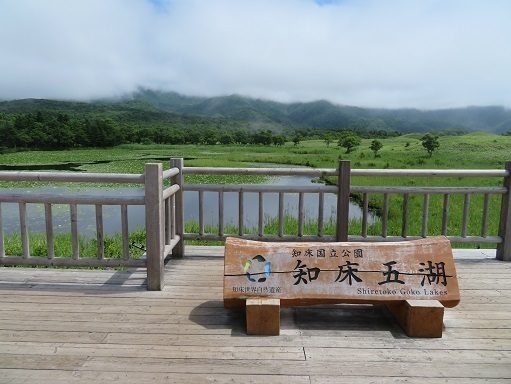 2023北海道 知床五湖 ここからは自由時間.jpg