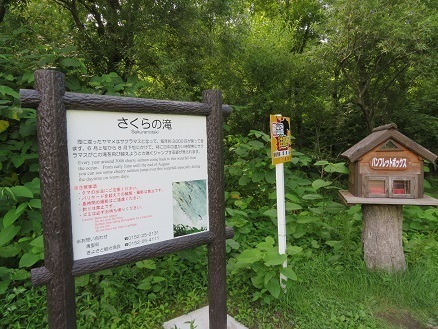 2023北海道 知床五湖 さくらの滝.jpg