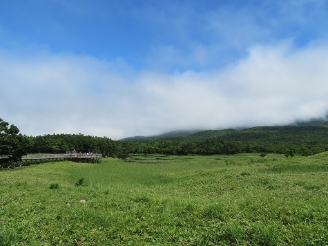 2023北海道 知床五湖 ヒグマが出ないか辺りを見回す.jpg