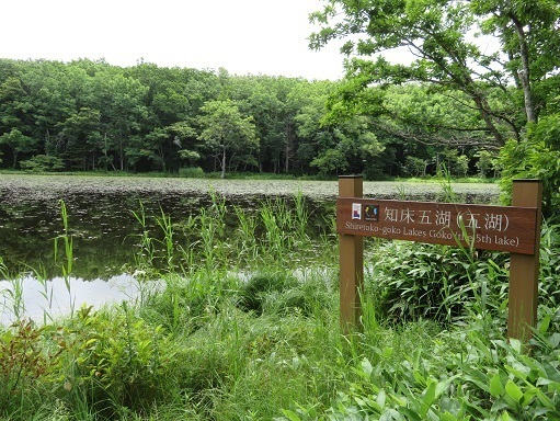 2023北海道 知床五湖 五湖.jpg