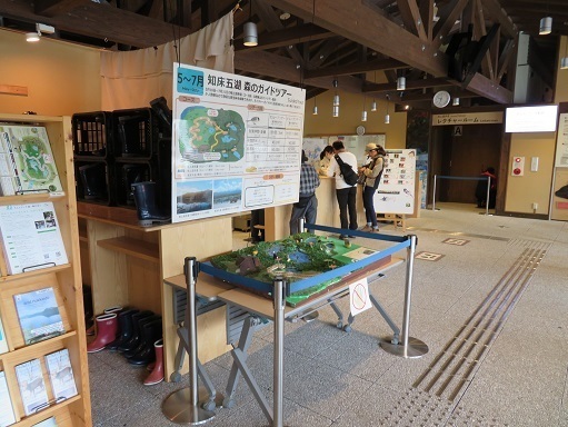2023北海道 知床五湖は7月末までガイドツアーに参加しないと行けない.jpg