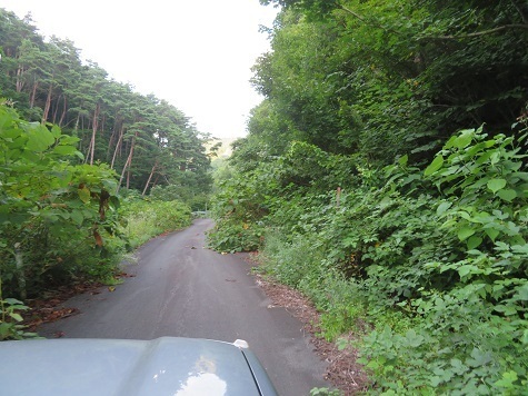 ガンケ山 アプローチ.jpg