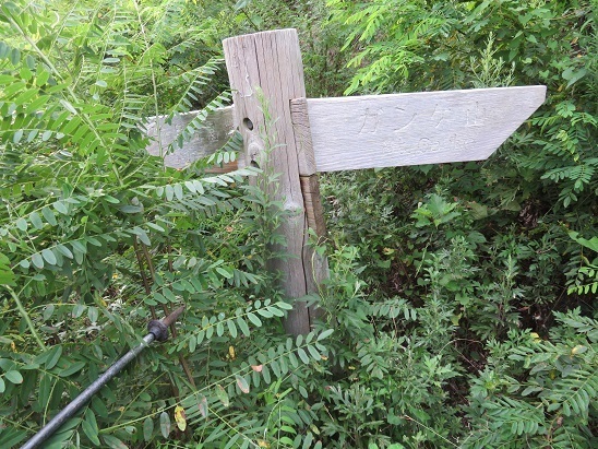 ガンケ山 指導票を探し当.jpg