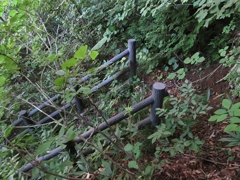 ガンケ山 降る.jpg