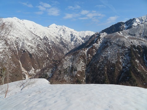 ネコブ山 800m台に来るとこの景色に.jpg
