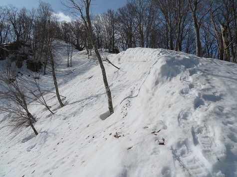 ネコブ山 ここから雪がしっかり.jpg