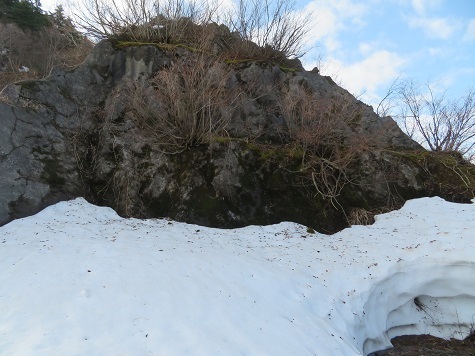 ネコブ山 この岩登りから.jpg