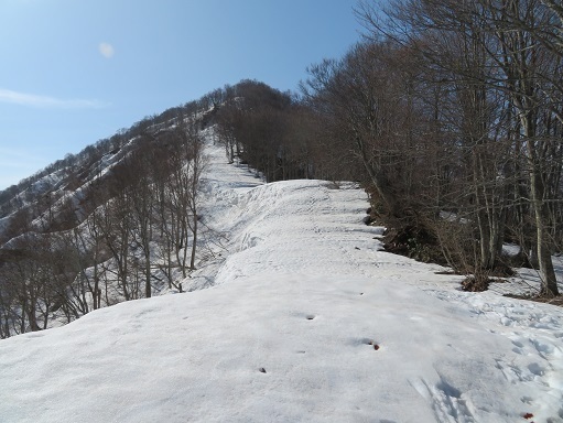 ネコブ山 もう雪は繋がって.jpg
