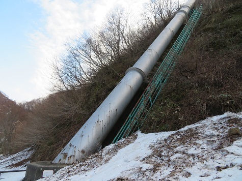 ネコブ山 ココから入山.jpg