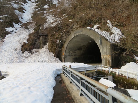 ネコブ山 トンネルはヘッデン要らな.jpg