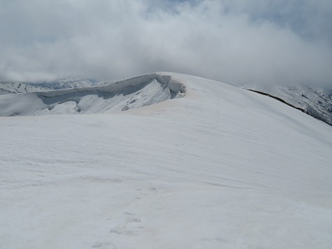 ネコブ山 ネコブ山頂はソコ.jpg