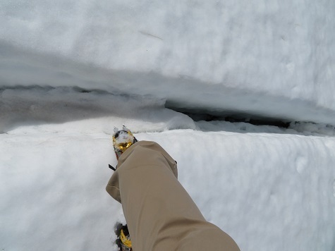ネコブ山 出た 大分雪が腐ってきて.jpg