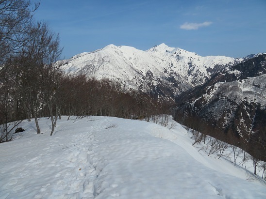 ネコブ山 後を振り返ると八海山.jpg