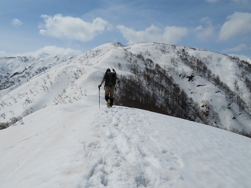ネコブ山 桑の木山へ.jpg