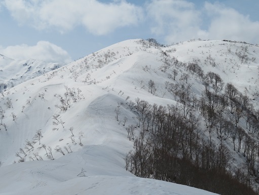 ネコブ山 桑ノ木山へ向かう.jpg