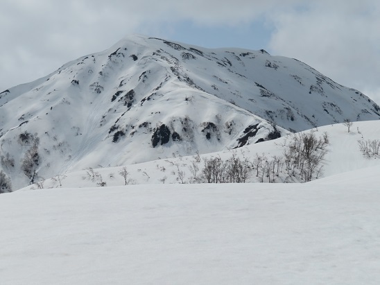 ネコブ山 眼前にネコブ山が.jpg