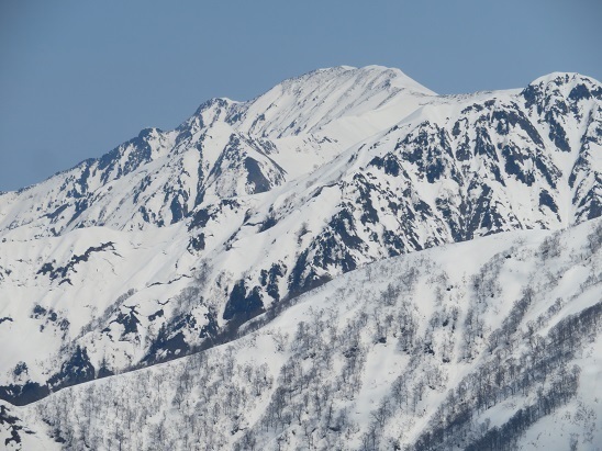 ネコブ山 越後駒ヶ岳.jpg