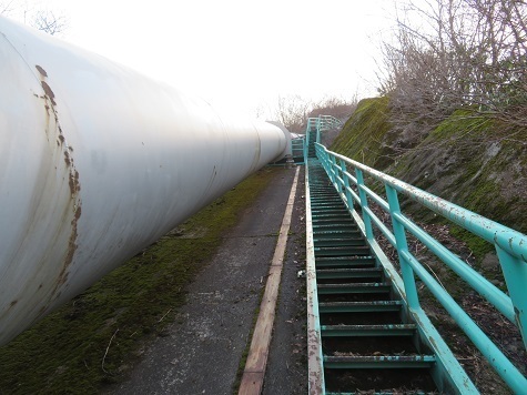 ネコブ山 長い階段歩き.jpg