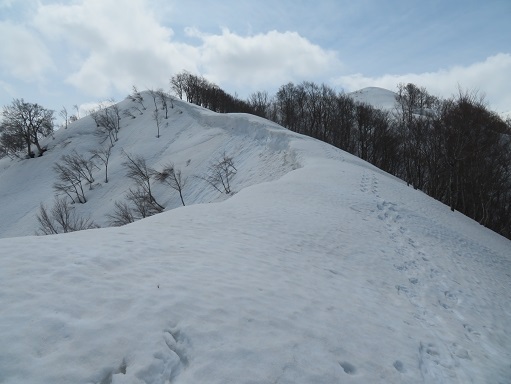 ネコブ山 雪庇も出て.jpg
