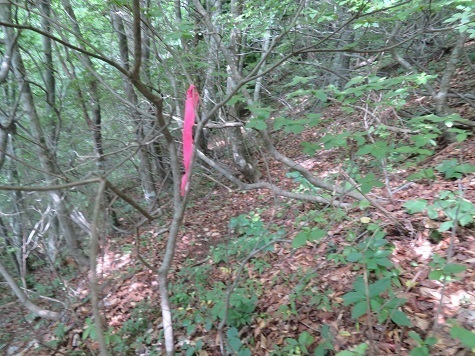 三角山 上部近づくとピンテが.jpg
