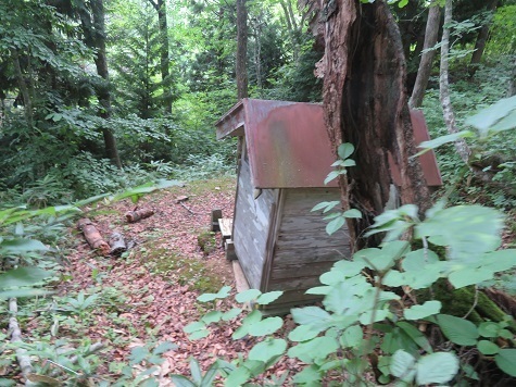 三角山 帰りは早いね.jpg
