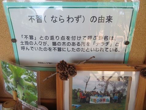 不習岳 ナラヂから来てる.jpg