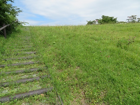 不習岳 階段を登ると.jpg