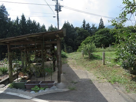 中群八重能岳 ここを入っていく.jpg