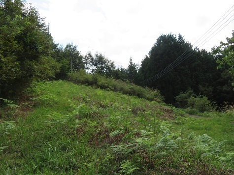 中群八重能岳 山頂っぽい方へ進む.jpg