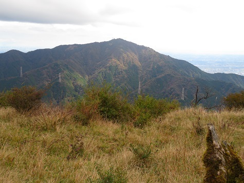 丹沢20 三ノ塔より大山を望む.jpg