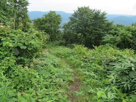 久慈平 下山.jpg